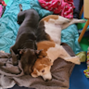 Meet your Posher, Carlene